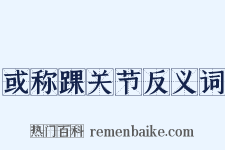 或称踝关节反义词是什么意思的图片